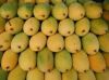 Fresh fruit,Fresh Mango,Fresh Golden Yellow Mango