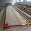 Automatic chain feeding system for chicken farming