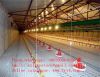 Automatic feeders for poultry farm