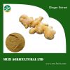 Ginger Root Extract-- ...