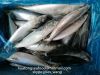 new landing pacific mackerel fish  WR for canning