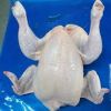 Halal Whole Frozen Chicken