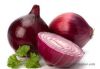 Round fresh red onions fresh cheap onion