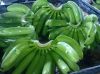 Premium Quality Fresh Cavendish Banana