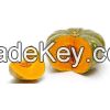 Best Quality Fresh Pumpkins
