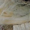 Natural Sisal Fiber Grade A UG, SSUG, 3L