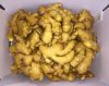 Fresh Ginger  Semi-Dri...