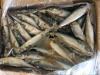 2017 New Arrival Frozen North Pacific Mackerel Fish