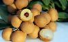 Fresh Longan fruit