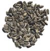 Sunflower Seeds 