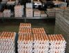 Fresh Healthy farm Eggs 