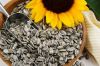 sunflower seeds sunflo...