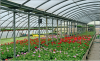 Flower Greenhouse Film