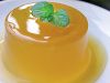 agar agar powder
