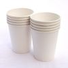 Disposable Paper Cup (DISPOWARESTORE)