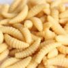 50PCS 2cm 0.3g maggot Grub Soft Lure Baits smell Worms | Glow | Shrimps