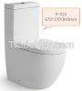 Custom Toilet Bowl wit...