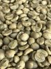 Green Coffee Beans