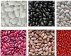 Best Quality Kidney beans, Black beans, Lentils, Chickpeas, Mung beans, Soybeans Available