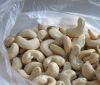 Cashew Nut