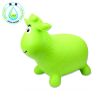  Inflatable Toys Kid Toys Children Gifts Lightweight for Children Indoor Game  PVC Inflatable Toy