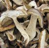 Dried Boletus Edulis s...