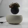 Ceramic base magnetic air bonsai for gift 0-300g