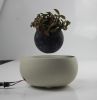 Ceramic base magnetic air bonsai for gift 0-300g