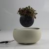 Ceramic base magnetic air bonsai for gift 0-300g