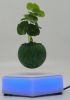 Resin magnetic flying air bonsai pots with led light