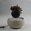 Ceramic base magnetic air bonsai for gift 0-300g