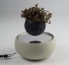 Ceramic base magnetic air bonsai for gift 0-300g