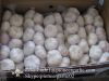 Chinese Natural 5.5cm Red Garlic Loose Packing In 10kg Carton Box
