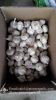 Chinese Natural 5.5cm Red Garlic Loose Packing In 10kg Carton Box