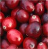 100% Natural Cranberry...