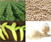 Pure Natural Soybean E...