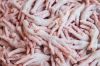 Processed Frozen Chicken