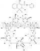 Piroxicam-beta-cyclodextrin complex