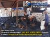 BBQ Hardwood Charcoal | Tamarind Wood Charcoal | Halaban Charcoal | Mangrove Charcoal | Indonesia Charcoal