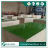 Green and Blue Colored PP PVC Plastic Plywood Sheet