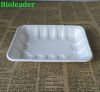 High Quality Leakproof FDA Standard Biodegradable Sugarcane Bagasse Food Disposable Tray