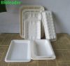 High Quality Leakproof FDA Standard Biodegradable Sugarcane Bagasse Food Disposable Tray