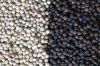 Black peper