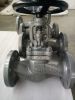 Rays Globe Valve