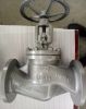 Rays Globe Valve