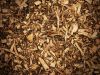 Eucalyptus Wood Chips