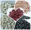 Beans,Black beans , Butter Beans , Broad Beans, Cocoa beans, Fresh Beans, Lima Beans, Mung Beans, Soybeans, Vanilla Beans,