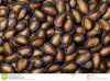 Spiced taste organic s...