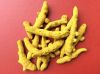 Turmeric Finger with curcumin 6%