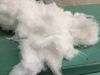 polyester staple fiber, cotton comber noil,